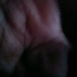 Meet your Posher, Bo